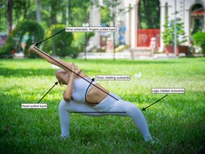Self-Paced 5 Element Qigong Online Course and Teacher Training