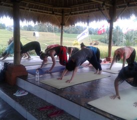73 Day Beginner Yoga and Meditation Retreat with Cultural Activities in Bali, Indonesia - Photo 1