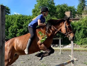 8 Day Kid's Summer Camp Horse Riding Holiday in Tuscany