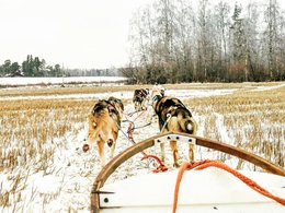 Lappland Retreats & Trips