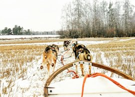 Lappland Retreats und Reisen