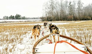 Lapland Retraites en Reizen