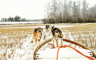 Lappland Retreats und Reisen