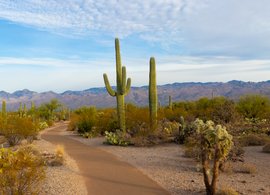 Arizona Retreats und Reisen