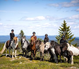0 7 Jour Semaine à Cheval en Islande : Découvrez le Cœur Sauvage d’Östersund, dans le Nord de la Suède - Photo 1