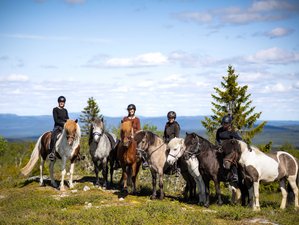 7 Täge Islandpferdewoche: Entdecken Sie das wilde Herz von Östersund, Nordschweden, auf dem Pferderücken