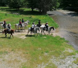 02 jours de vacances équestres aux abords de Sredna Gora, Bulgarie - Photo 1