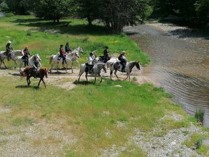 2 Day Wonderful Horse Riding Holiday in The Outskirts Sredna Gora