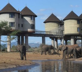 4 jours en stage de safari à Amboseli, Tsavo West et Tsavo East, Kenya - Photo 2