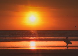 Nosara Retreats & Trips