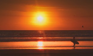 Nosara Retreats & Trips