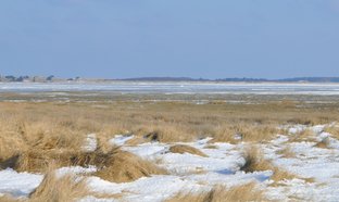 Vlieland Retreats und Reisen