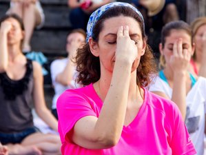 3 Day Yoga Retreat for Artists and Art Appreciators in Bezděkov