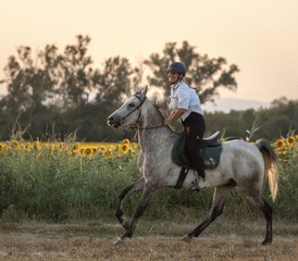 7 jours expérience équestre méditerranéenne guidée à Siurana d’Empordà, Espagne - Photo 5