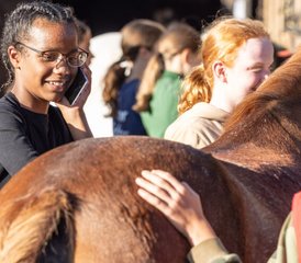 6 Day Residential Horse Riding Holiday for Girls Aged 8 to 15 Years Old in West London - Photo 4