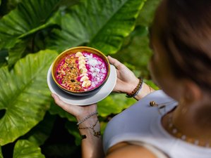 7 Day Detox and Health Boost Wellness Retreat in Canggu in Bali, Indonesia