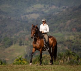 7 Tage Klassische Reitkunst: Reiten und Yoga Retreat in Tucurrique, Cartago, Costa Rica - Photo 3