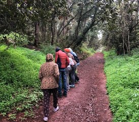 7 Day Alternative Tourism, Meditation, and Yoga Retreat in Gran Canaria, Spain - Photo 3