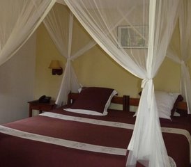 22-Daagse Privésafaritocht in Madagascar: Van Regenwouden en Tsingy tot Baobabs en Stranden - Photo 5