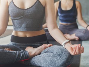 200h en formation de professeur de yoga vinyasa en ligne à votre rythme