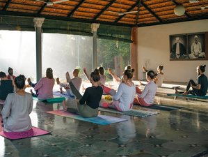 21 Day 200-Hour Hatha and Ashtanga Yoga Teacher Training in Mandrem, Goa, India