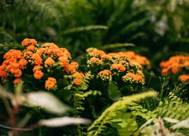 Whanganui Retreats & Trips