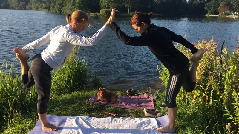 3 días de retiro de yoga, meditación y experiencia de psilocibina en Ámsterdam