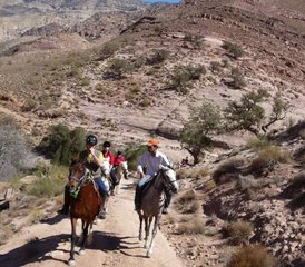 10 jours en randonnée équestre de Pétra à Wadi Rum en Jordanie pour cavaliers avancés - Photo 3