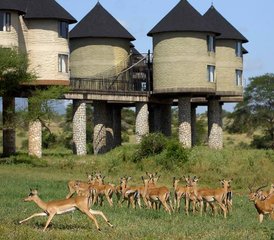 92 Tage Beeindruckende Tsavo Ost- und Taita Hills Safari in Kenia ab Mombasa - Photo 1