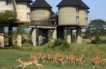 2 jours en stage de safari époustouflant dans le parc national de Tsavo Est et les collines de Taita au Kenya, au départ de Mombasa