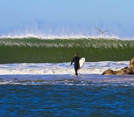 07 Day Transformative Surf and Yoga Camp in Vila Nova de Milfontes, Alentejo, Portugal - Photo 1