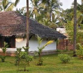 7 jours en retraite de yoga et d’ayurvéda au Kerala, Inde - Photo 5
