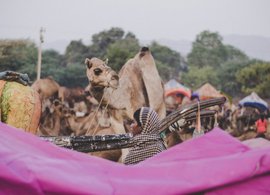 Pushkar Retreats & Trips
