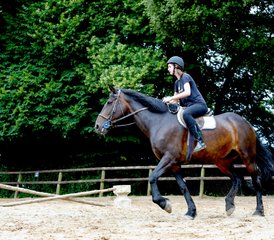14 Day Horse Riding and English Summer Camp for Kids (11 - 17 Years Old) in Cork, Ireland - Photo 2