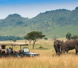 5-Daagse Luxueuze Safari in Amboseli National Park en Lake Naivasha, Kenia - Photo 5