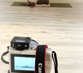 Formación online a tu ritmo de 200 horas en yoga tradicional y meditación - Photo 2