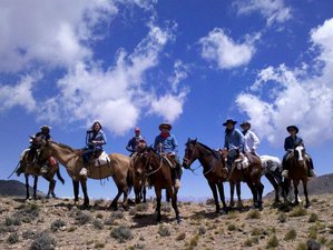 6 Day Andes Crossing Horse Riding Holiday in Argentina and Chile