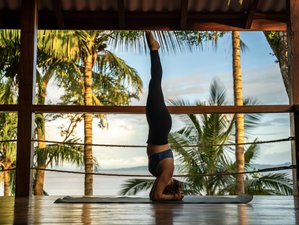 7 Tage Luxuriöses Yoga Abenteuer Retreat in der Wildnis von Panama