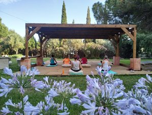 3 días de taller de cocina regenerativa, senderismo y retiro de yoga cerca de la costa de Barcelona, España