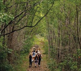 26 Day Byron Hinterland Wellness Retreat in New South Wales, Australia - Photo 1