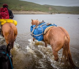 12-Daagse Paardrijtocht aan de Magische Atlantische Kust van Tierra del Fuego, Argentinië - Photo 4
