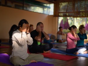 11 Day 100-Hour Multi-Style Yoga Teacher Training in Rishikesh, India