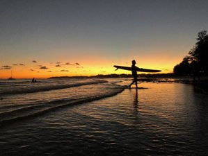 4 Tage Günstiges Surf Camp für Anfänger und Fortgeschrittene in Weligama, Sri Lanka