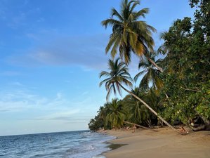 7 Day Private Weight-Loss Retreat in Talamanca, Costa Rica