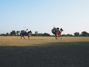 7 Day Horse Riding Safari Holiday in Rajasthan