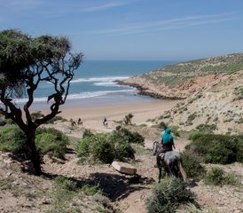 8 jours de randonnée équestre sur le sentier de la côte atlantique au Maroc - Photo 3