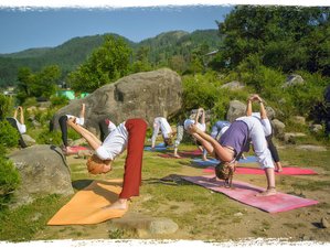 31 Tage Fortgeschrittene 300-Stunden Vinyasa Yogalehrer Ausbildung in Dharamshala 