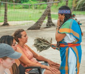8 jours en retraite de sagesse ancestrale avec ayahuasca à Palomino, Colombie - Photo 3