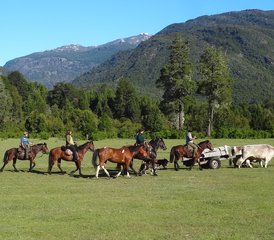 9 jours en stage d’équitation dans la nature sauvage en Patagonie, Argentine - Photo 4