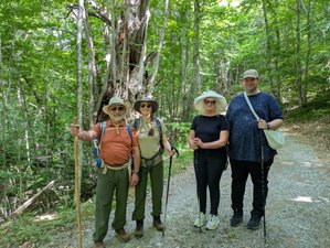 8 Day Forest Bathing and Stillness of Nature Retreat in Tuscany, Italy